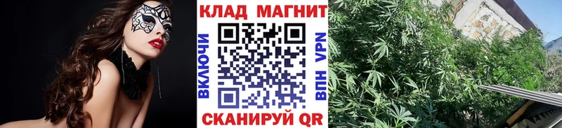Где найти наркотики Судак Амфетамин МЕФ Гашиш НБОМе A PVP Галлюциногенные грибы