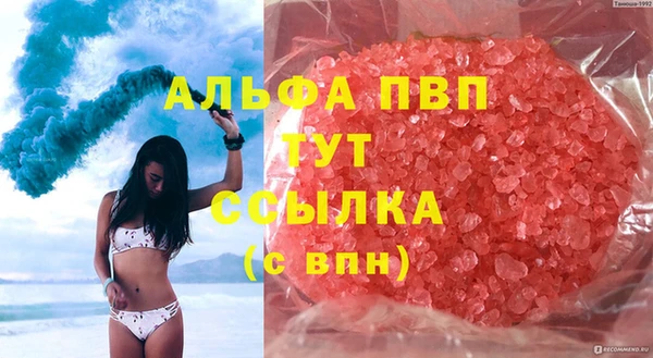 прущие грибы Аркадак